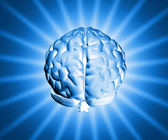 An Introduction to Neurology | NASA MRI Blog